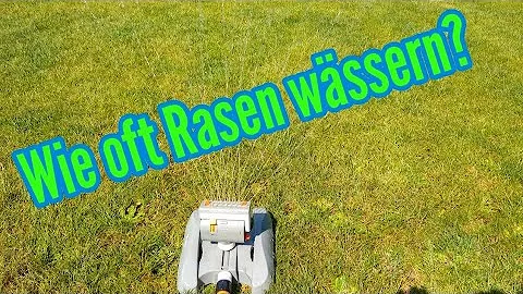 Wie oft soll man einen Rasen rechen?