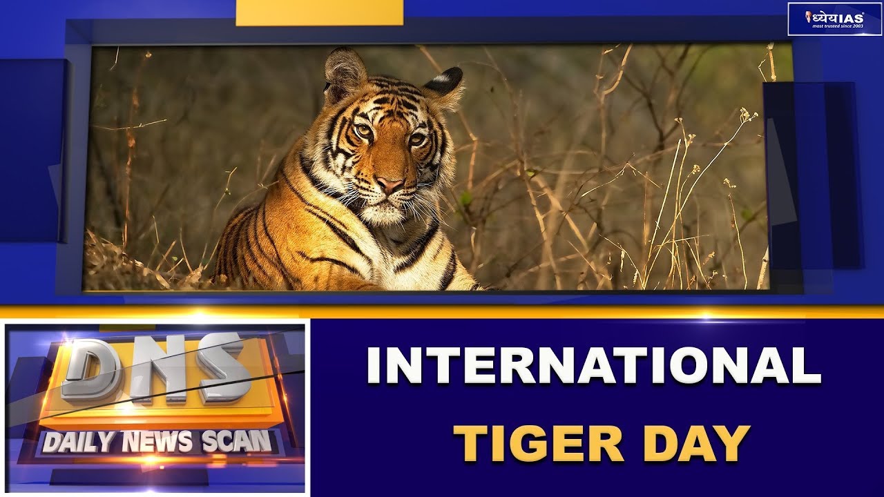 DNS: INTERNATIONAL TIGER DAY