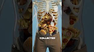 Why Your Body Becomes Fat ⚠️ (How Fat Builds Up)