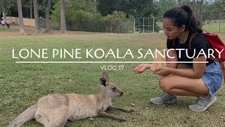 Lone Pine Koala Sanctuary Brisbane, Australia VLOG 17