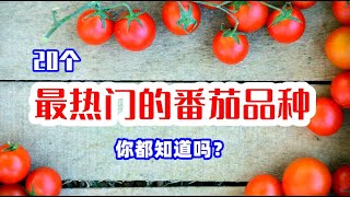 20种最热门的番茄品种，今年您准备种哪个？附推荐指数 / Top 20 Types Of Tomatoes