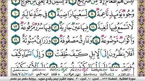 سورة الغاشية ايمن رشدي سويد Surah Al Ghashia ayman sweed برواية حفص عن عاصم