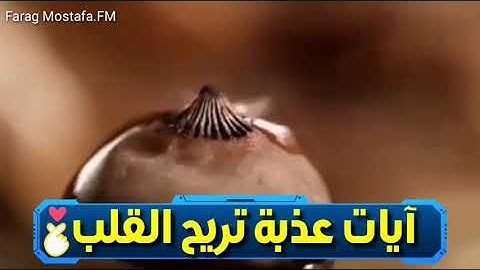 آيات عذبة تريح القلب ❤️💙💛