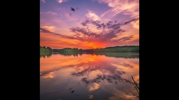 سورة الفجر وتلاوة مباركة للقارئ الشيخ وليد الأزهرى..