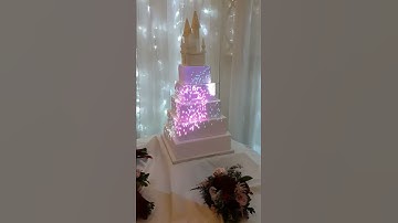 Cake Projection Mapping