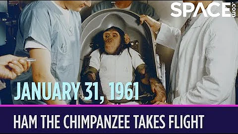 OTD in Space – January 31: Ham the Chimpanzee Takes Flight