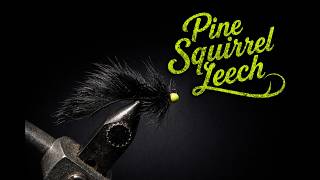 The Pine Squirrel Leech is the best leech pattern out there.