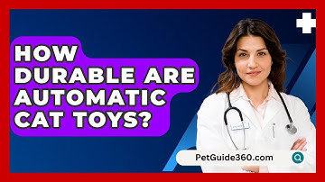 How Durable Are Automatic Cat Toys? - PetGuide360.com