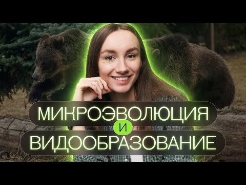 Микроэволюция и видообразование | Катя Грицай | Биология ЕГЭ