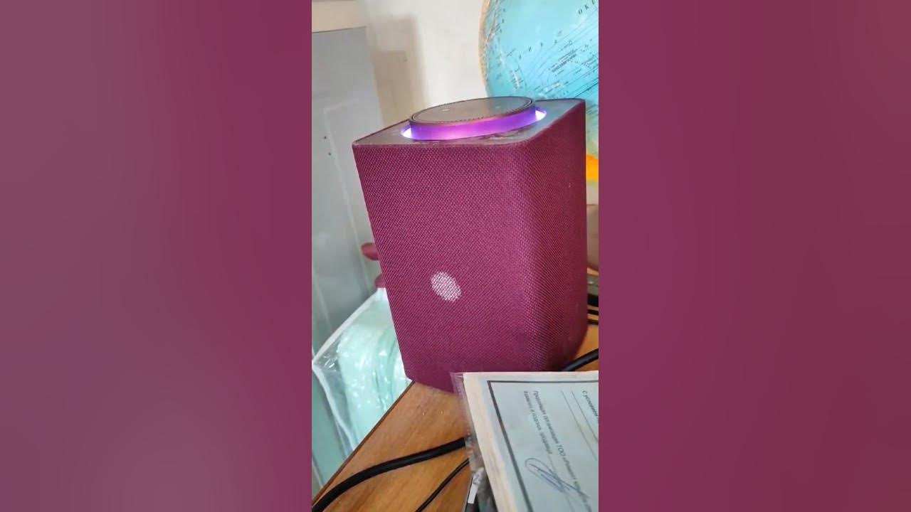Научное доказательство что АЛИСА ТУПАЯ!!! ЛОЛ🐸😅 - YouTube