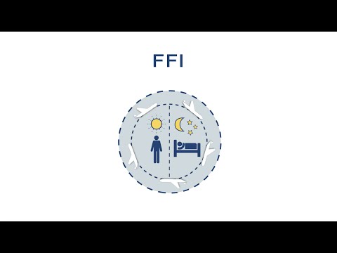 Frankfurter Fluglärm Index (FFI)