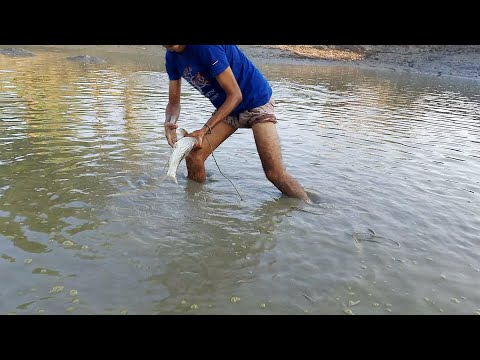 Net Fishing Video 2022 | Rural Fisherman Fishing in The Village Pond with A Cast Net