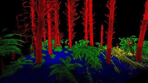 Sensor Agnostic Semantic Segmentation of Forest Point Clouds using Deep Learning (Part 1)