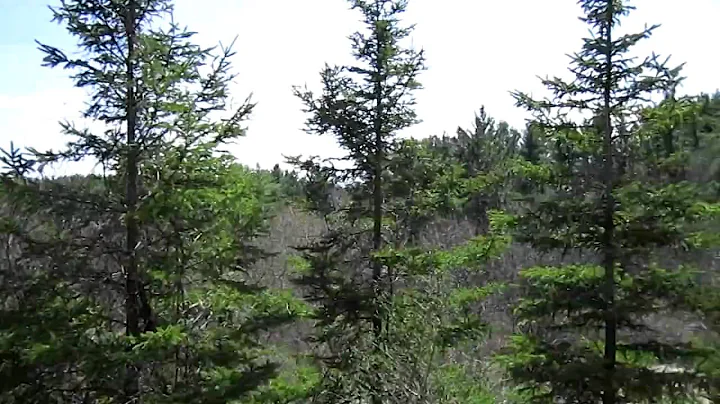McMichael grounds, Kleinburg, ON - Sunday April 11...