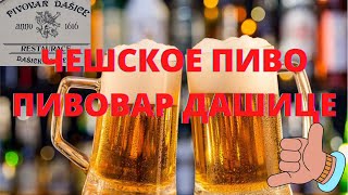 Чешское пиво Пивовар Дашице / Česká Republika  Dačickě sklepy Pivovar Dašícě