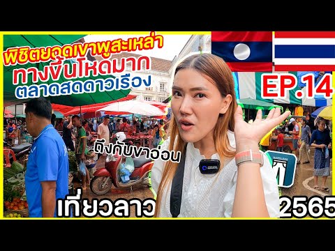 เที่ยวลาว EP.14 🇱🇦เดินขึ้นเขาที่สปป.ลาวเมืองปากเซ โหดจริงเหรอ? ตลาดดาวเรืองยามแลงมีแต่ของอร่อยน่ากิน