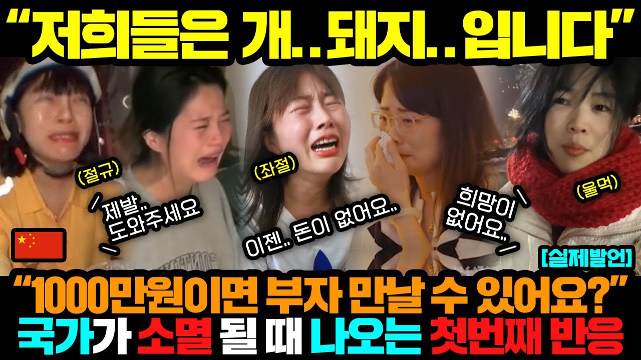 중국반응ㅣ국가가 소멸 될 때 가장 먼저 피해받는 계층