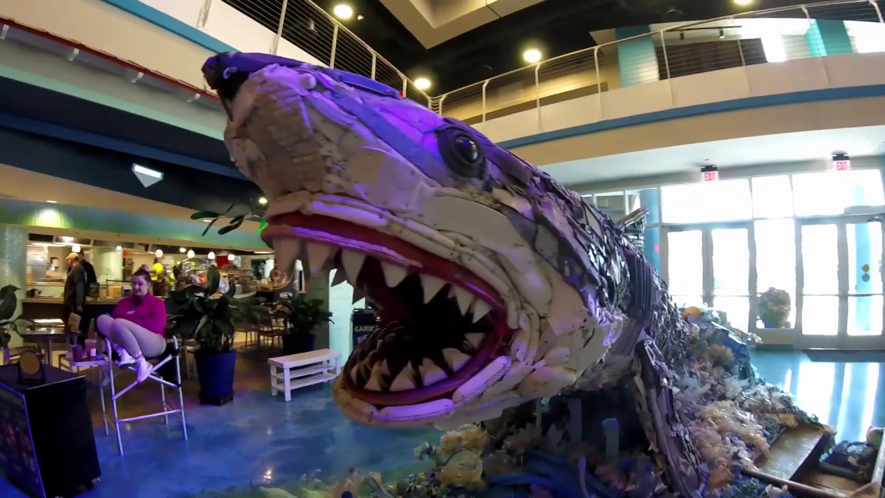 The Florida Aquarium - MaxresDefault