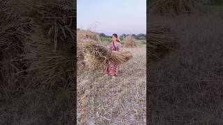 Pyar Ke Kagaz Pe || Jigar || Ajay Devgan, Karishma Kapoor | Abhijeet B, Sadhana Sargam | Old Is Gold