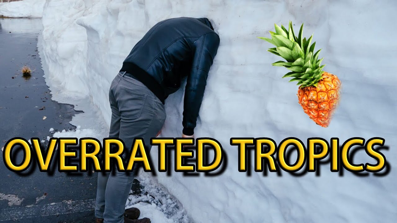 7 Reasons Why Raw Vegans Should Stay in COLD Climates