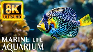 Marine Life Aquarium 8K ULTRA HD - Sea Animals for Relaxation, Beautiful Coral Reef Fish in Aquarium