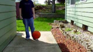 Animation Reference: Basketball