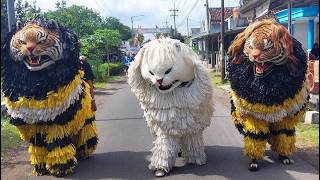 CAN MACANAN DAN DRUMBAND SINGO MANGGALA DI WRINGIN BONDOWOSO 1