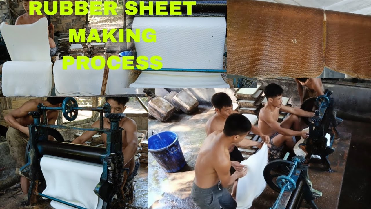 ПРОЦЕСС ПРОКАТКИ РЕЗИНОВОГО ЛИСТА || В Нагаленде | ИНДИЯ 🇮🇳 | Korak Bommer Exploring | РЕЗИНОВЫЙ ...