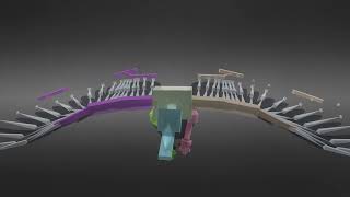 2 Raven Flying Animated Rigged | 3D Molier International