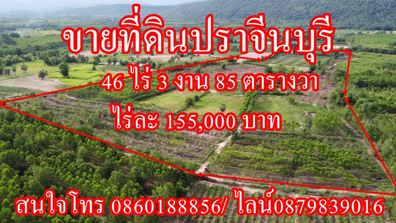 155,000/ไร่ #ขายที่ดินปราจีน วิวเขา เนื้ัอที่ 46 ไร่  3 งาน 85 ตารางวา สนใจโทร 0860188856 ธารา