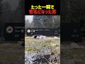 adidas公式から反応された動画