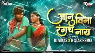 👑janu vina rangch nay l dj vikas xr boy new remix 🍁 / 2023
