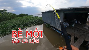 CÂU CÁ MIỀN TÂY | ANH CHINH ĐƯA ĐI CÂU CÁ TRÊN BÈ MỚI