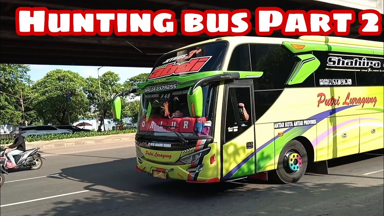 Hunting bus Part 2 di cempaka putih gudang garam