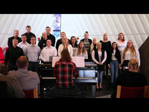 Vindsins litadýrð -