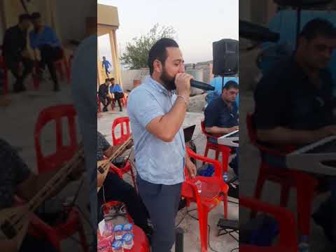 احلى حفلة سلاح عاليا فرقة فنان شرف حليقي 2021 8 11