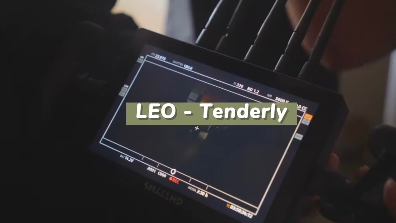 Cover 내 진심을 다해 다정하게 사랑해: 리오(LEO) - Tenderly [가사/해석/번역/lyrics]