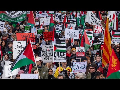 ‘Normalise massacres’: London police called to pro-Palestine protest