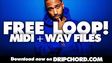 Free Big Sean MIDI + WAV Loop "Protest"