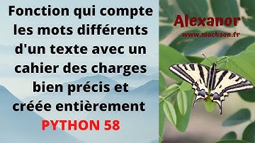 Python #58 - Fonction  perso qui compte les mots différents d