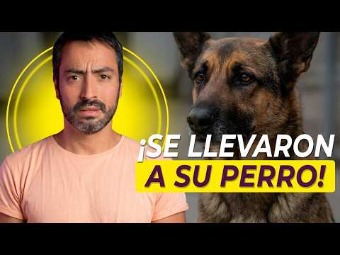 Drogaron a Jorge Hugo Marín y ahora busca desesperadamente a su perro Guaro | El Gordo Ariel