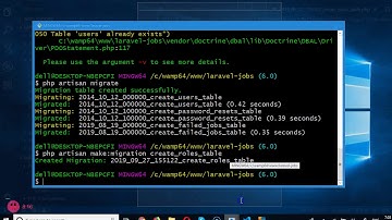 Laravel 6   5   skills migration