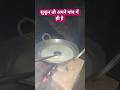 शहर तो सिर्फ नाम का शहर है, सुकून तो अपने गांव में ही है Anuj Gorakhpuriya in Gorakhpur village life