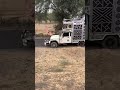 Bhati’s sound Munsari #dj #automobile #dance #dance #djbhatisoundmunsari🎛️📢🎙️🎛️📢🎙️🎛️📢