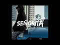 Horany SEÑORITA Official Audio حوراني سنيوريتا Horany SEÑORITA Official Audio حوراني سنيوريتا