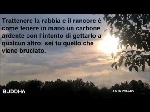 Buddha Aforismi Youtube