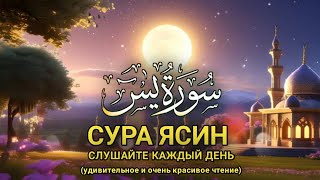 Лучшее чтение СУРЫ ЯСИН -  Quran secrets