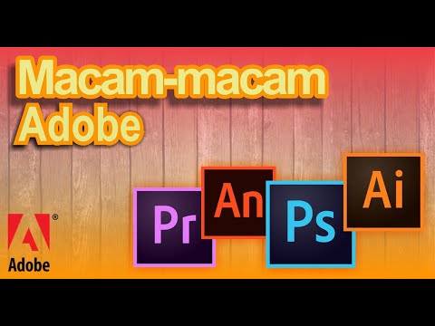 Video: Untuk apa masing-masing program Adobe?