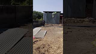 new shed work start#tinshed #cutaway #rescuecut #nomachine #sweeping #washout #twinhead #scrapper