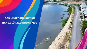 🌿 Kênh Tham Lương "Lột Xác": Từ Nơi Ô Nhiễm Ngập Rác Thành Công Viên Ven Sông